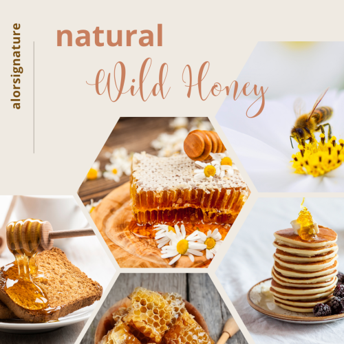 ALOR Natural Wild Honey ALOR Natural Wild Honey